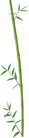 bamboo